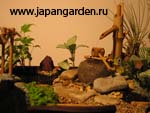 Японский сад с водным устройством Цукубай